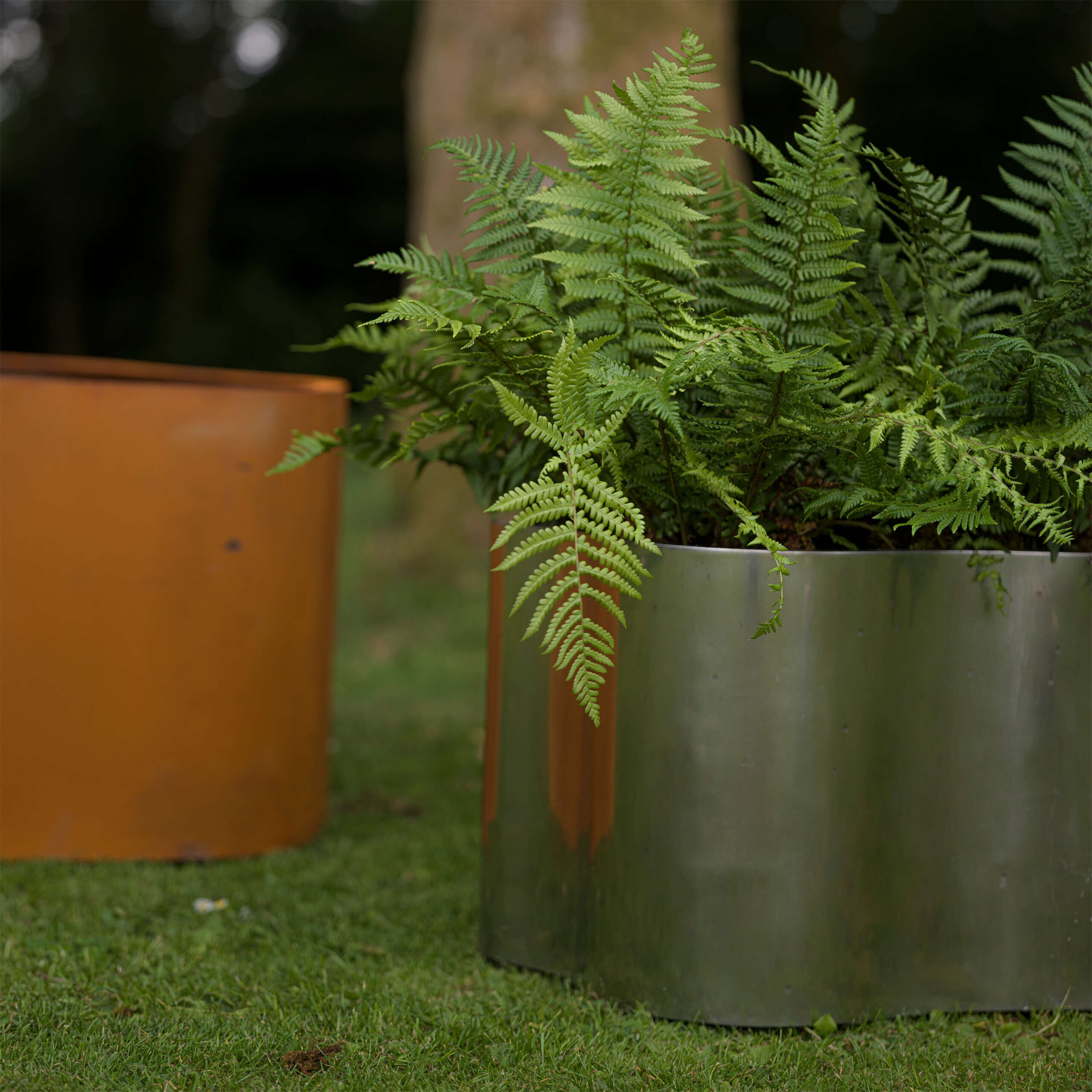 Lily Planter in Stainless Steel (Large) - Image 4